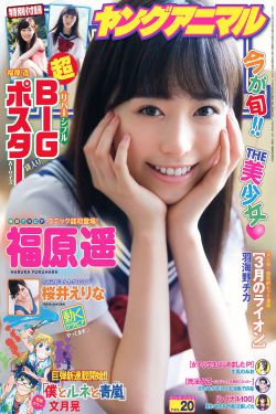 城中之城1-40集免费观看完整版
